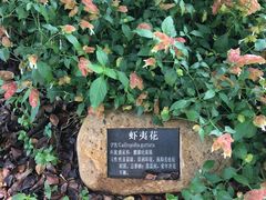 -光明港公园