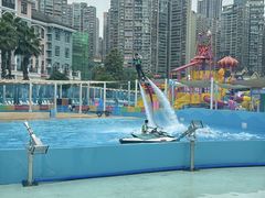 -海合安成都极地海洋公园