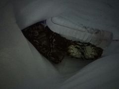 -丫丫蟹庄·苏式园林农家乐·阳澄湖大闸蟹(阳澄湖莲花岛店)