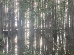 -东湖落雁景区