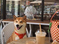 -Peet's Coffee皮爷咖啡(大学路店)