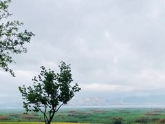 -群姐面馆·海鲜烧烤(同安路二店)