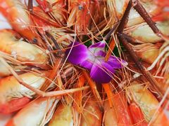 -海儀美食楼(湾仔海鲜街店)