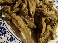 -赵记煎饼卷大葱(泰山大街店)