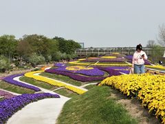 -南通洲际绿博园