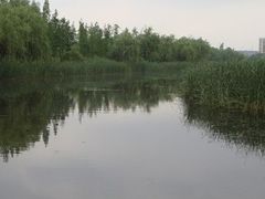 -新江湾城公园