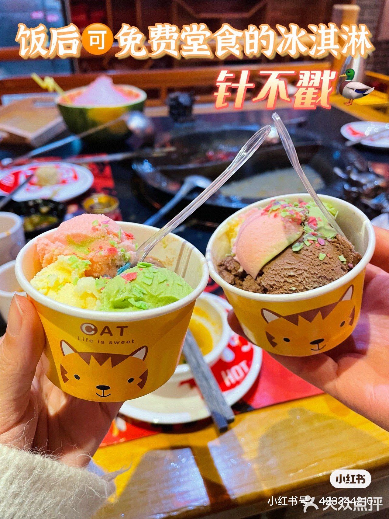 喜喜重庆老火锅·酒馆💥在河源火锅必吃啊！