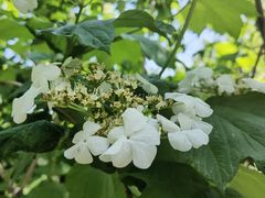 -朝阳公园
