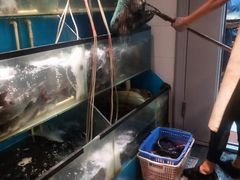 -老板恋上鱼(印象城店)