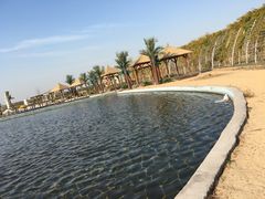 -傣妹火锅(狮子桥店)