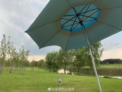 -蒲河大集