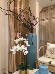 -一本X目奈子日式单根美睫专业店