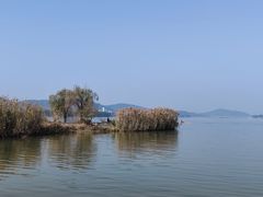 -长广溪湿地公园