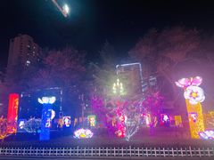 -金城公园