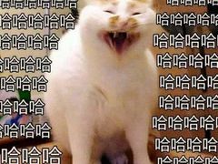 -拾下卜卜贝•海鲜火锅