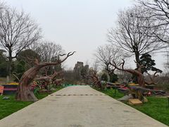 -秀丽东方