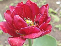 -长春公园(普阳街道)