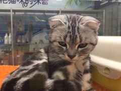 -北京华联购物中心(天通苑店)