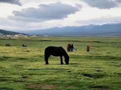 -青海湖国家重点风景名胜区
