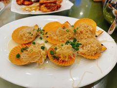 -新金盛·海鲜酒楼(盐田店)