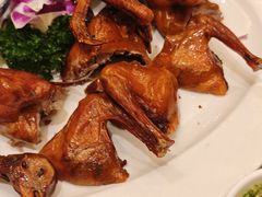 红烧乳鸽-沙龙酒家