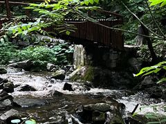 -青峰峡国家森林公园