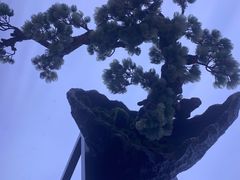 -滇铺子(欣都龙城店)