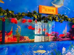 -白鹿仓冰雪海洋世界
