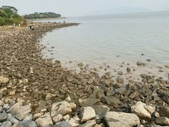 -深圳湾公园(南山区)