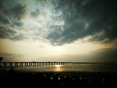 -宝安西湾红树林湿地公园