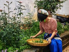 -正宗李家土鸡米线店