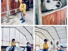 -意大利农场度假村