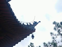 -观潮胜地公园