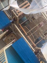 -PIPIKINGDOM皮皮王国欢乐号(欢乐海岸购物中心店)