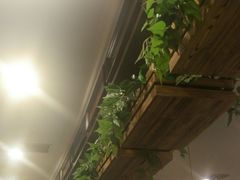 -紫阳富豪大酒店(惠南店)