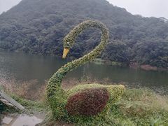 -广州市石门国家森林公园