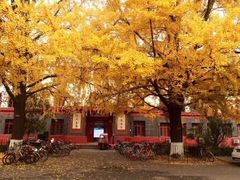 -四川大学(望江校区)