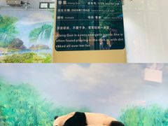 -杭州动物园