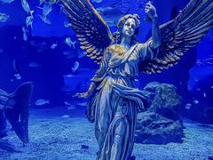 -海合安天津极地海洋公园