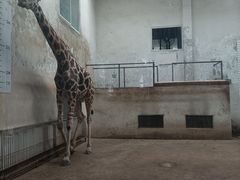 -成都动物园