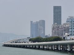 -演武大桥观景平台