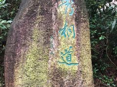 -梧桐山风景名胜区