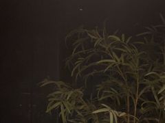 -上足·影院足道·SPA(红岭店)