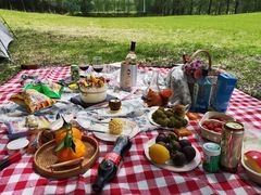 -长白岛森林公园