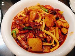 羔羊肉烩手工粉-中发源·清真餐厅(春风店)