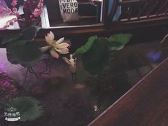 -韵秋荷(宝山龙湖天街店)