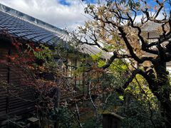 -三千院