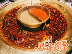 -哥老官重庆美蛙鱼头(龙湖杭州金沙天街店)