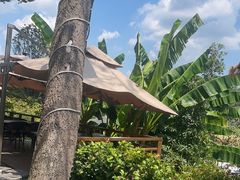 -麓湖湾·土菜院子(梅溪湖店)