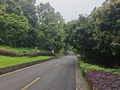 -张坝桂圆林公园